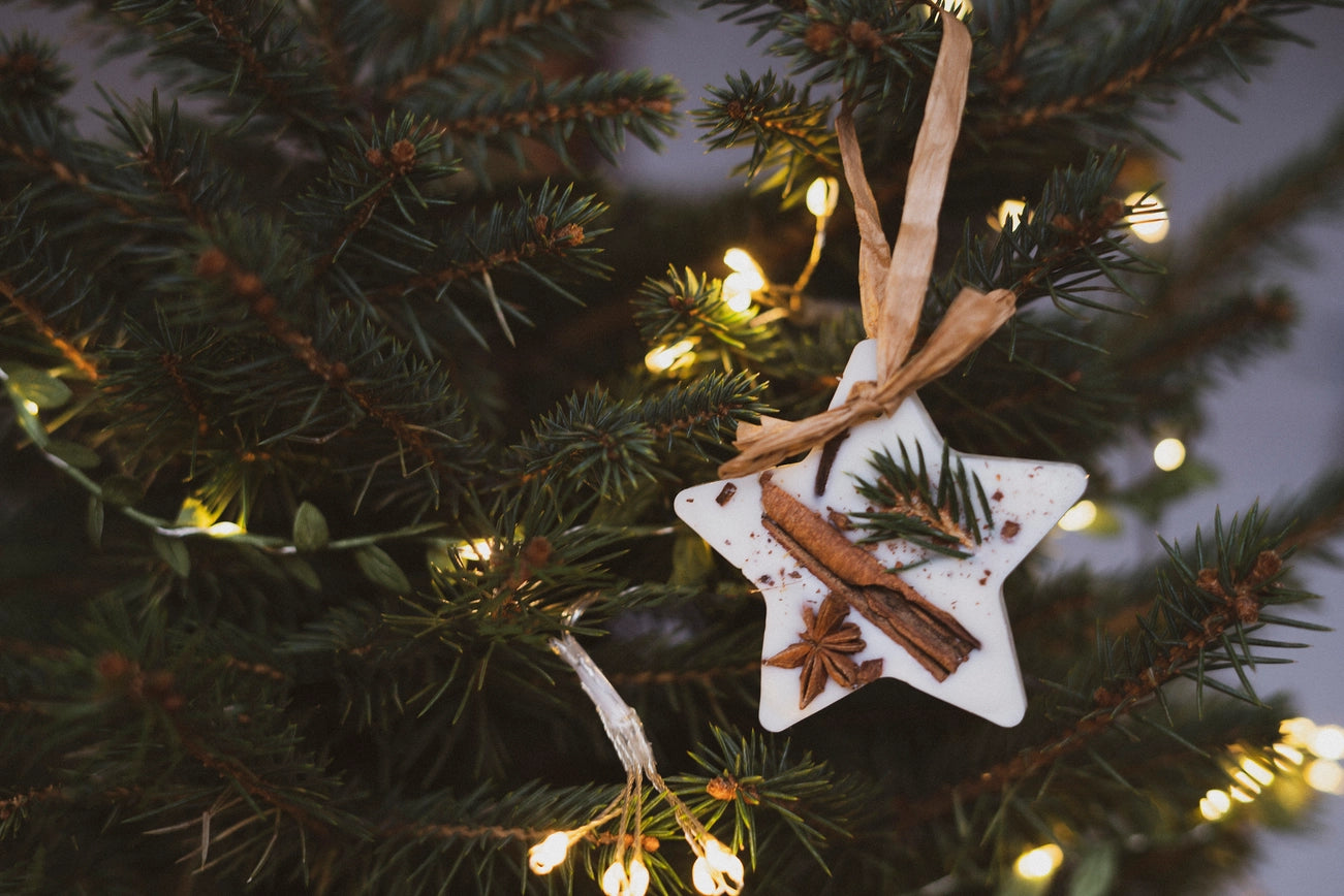 Christmas Scented Tree Decorations